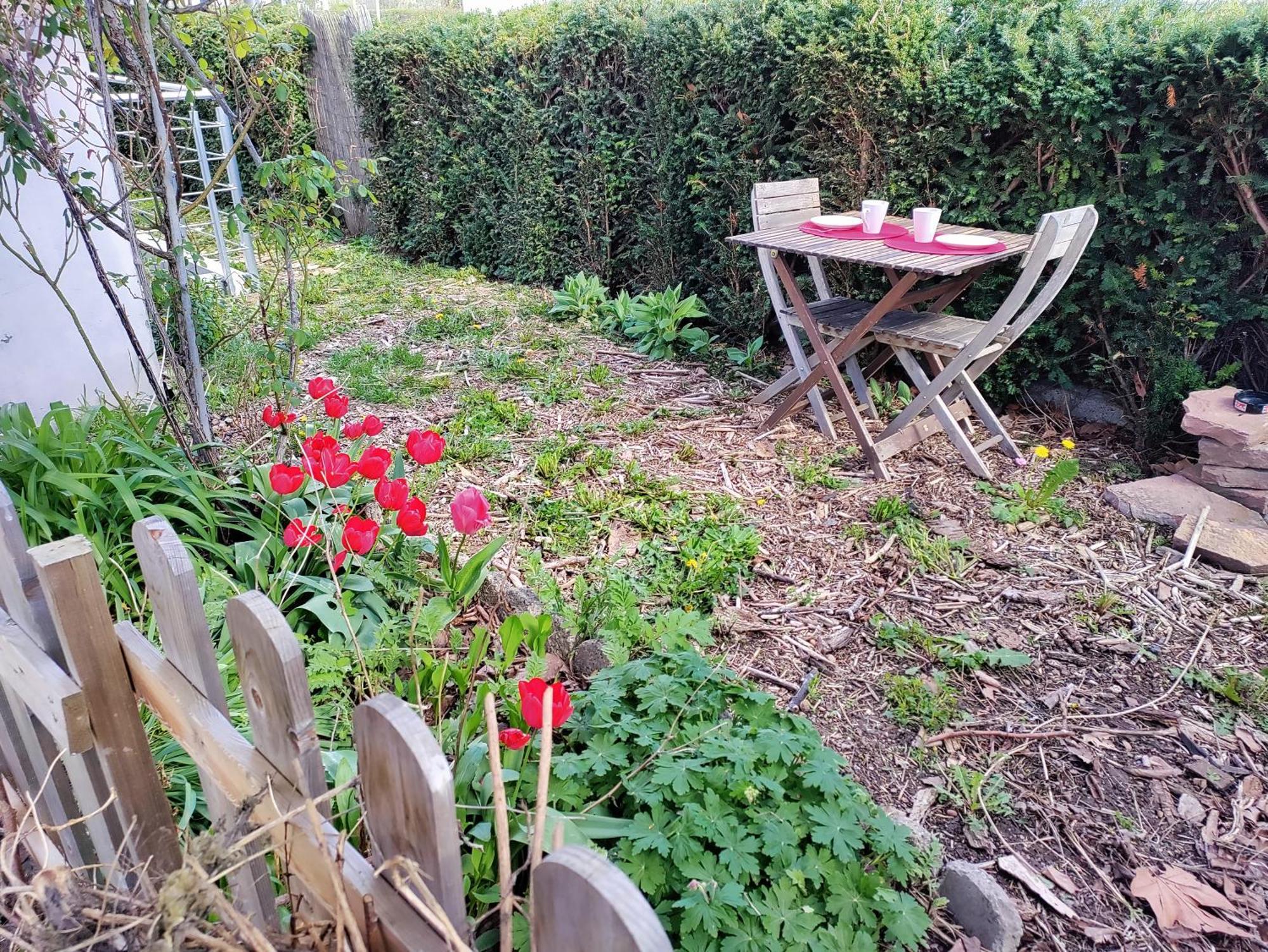 Les Coquelicots, Calme, Jardin Colmar Exterior foto